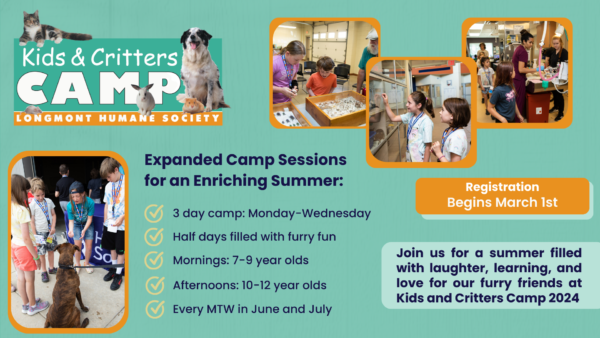 Kids Camp – Longmont Humane Society